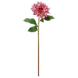 ASCA アスカ ダリア (A-35096-026L)