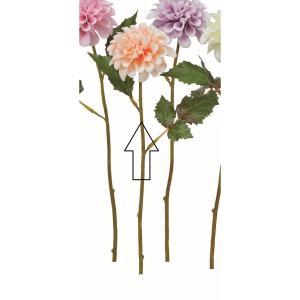 ASCA アスカ ダリア (A-35054-004)【入数:36】