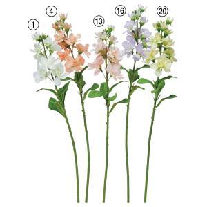 ASCA アスカ ストック (A-35062-001)【入数:24】