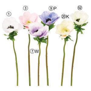 ASCA アスカ アネモネ (A-35084-001)【入数:12】