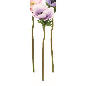 ASCA アスカ アネモネ (A-35084-007W)【入数:12】