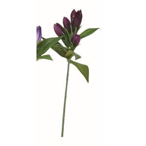 ASCA アスカ リンドウピック (A-35091-007D)【入数:24】