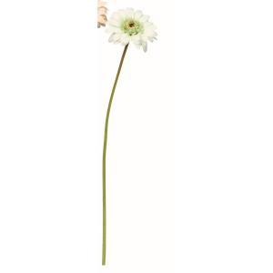 ASCA アスカ ガーベラ (A-35125-052)【入数:24】