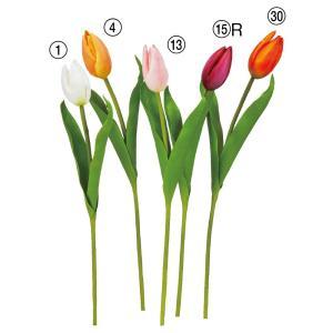 ASCA アスカ チューリップ (A-35167-001)【入数:12】