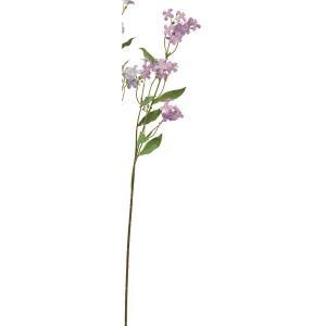 &nbsp;メーカー&nbsp;ASCA アスカ&nbsp;商品カテゴリ&nbsp;インテリア＞造花・人工植物&nbsp;発送目安&nbsp;2日〜3日以内に発送予定（土日祝除）&nbsp;お支払方法&nbsp;銀行振込・クレジットカード&nbsp;送料&nbsp;送料無料&nbsp;特記事項&nbsp;&nbsp;その他&nbsp;