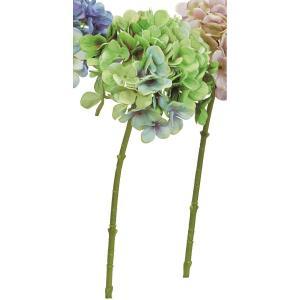 ASCA アスカ ハイドランジア (A-35189-051A)【入数:6】