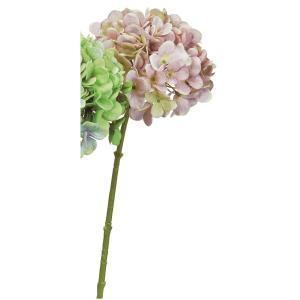 アスカ(Asca) ハイドランジア (A-35189-055G)【入数:6】