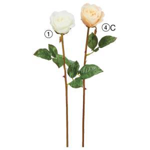 ASCA アスカ ローズ (A-35209-001)【入数:12】