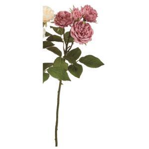 ASCA アスカ ローズ×3 つぼみ×2 (A-35192-055)【入数:12】