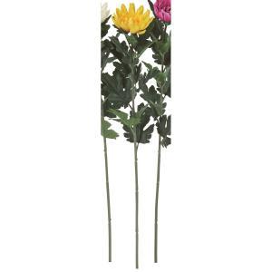 ASCA アスカ マム(M) (A-35245-010)【入数:12】