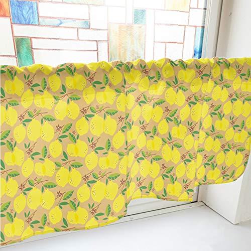 NOBORIYA �Τܤ결 ���ե������ƥ� ���� 1000��450mm �١����塦40543 (1390185)