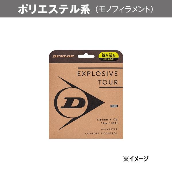 住友ゴム工業 ETOUR_ST_DSTA11031 (DSTA11031) [色 : GY] [サイズ : 16G]