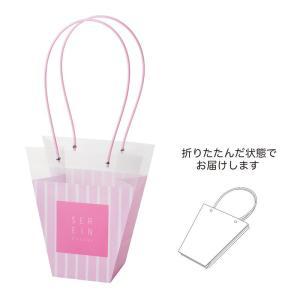 ケー・イー・アイ PPギフトバッグ L/M (5421-A-PK)【入数:5】