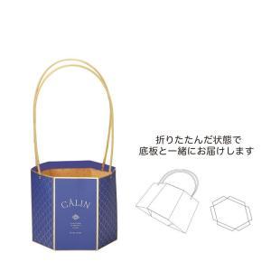 ケー・イー・アイ アベイユメゾンバッグ L/M (5426-A-NV)【入数:25】