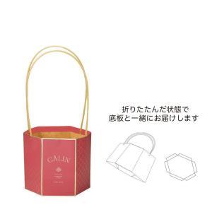 ケー・イー・アイ アベイユメゾンバッグ L/M (5426-A-RD)【入数:25】
