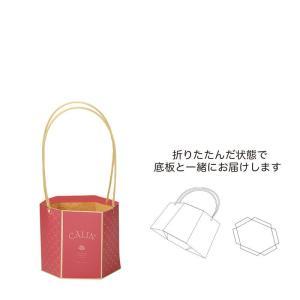 ケー・イー・アイ アベイユメゾンバッグ L/M (5426-B-RD)【入数:25】