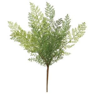 ASCA アスカ A?44342 ファーンブッシュ (72-44342-151)