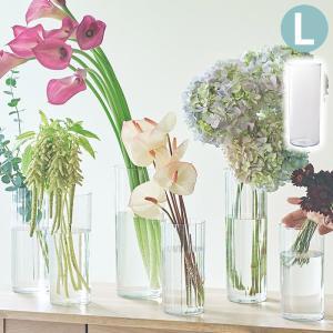 ���������������� �ץ������ꥢ�ե��١��� L/M/S (5362-A)