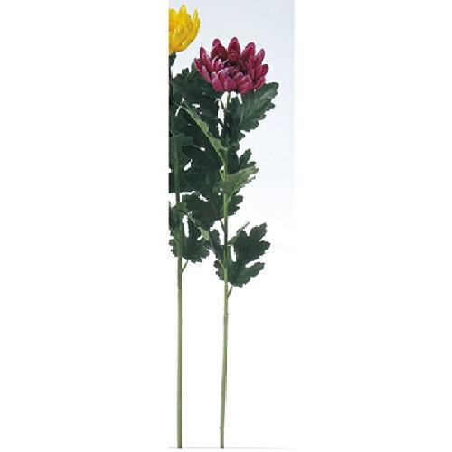 &nbsp;メーカー&nbsp;ASCA アスカ&nbsp;商品カテゴリ&nbsp;フラワー・観葉植物＞造花&nbsp;発送目安&nbsp;2日〜3日以内に発送予定（土日祝除）&nbsp;お支払方法&nbsp;銀行振込・クレジットカード&nbsp;送料&nbsp;送料無料&nbsp;特記事項&nbsp;&nbsp;その他&nbsp;