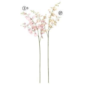 ASCA アスカ オンシジュームX32 つぼみX13 (A-33329-003S)【入数:12】