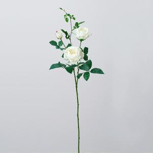 ASCA アスカ キャベッジローズX2 つぼみX1 (A-33358-011)【入数:12】