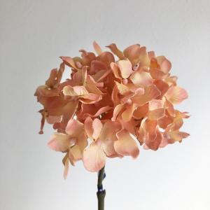 ASCA アスカ ハイドランジア (A-33728-014A)【入数:12】