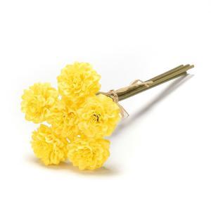 ASCA アスカ マムバンチ(1束6本) (A-73316-010)【入数:24】