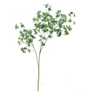 ASCA アスカ ドウダン(L) (A-43334-051A)【入数:6】