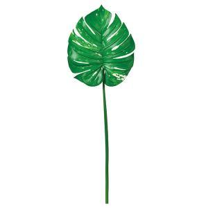 ASCA アスカ モンステラ (A-43814-051A)【入数:12】