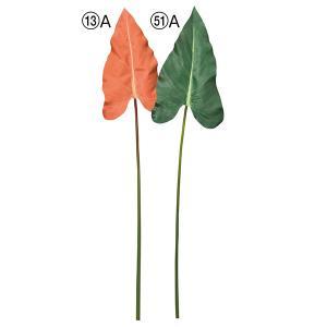 ASCA アスカ アロカシア (A-43834-013A)【入数:24】