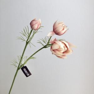 ASCA アスカ セルリアX3 (A-34313-055B)【入数:12】