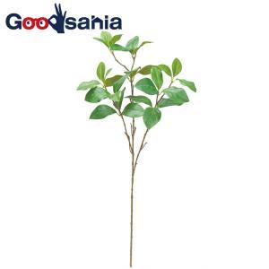 &nbsp;メーカー&nbsp;ASCA アスカ&nbsp;商品カテゴリ&nbsp;インテリア＞造花・人工植物&nbsp;発送目安&nbsp;2日〜3日以内に発送予定（土日祝除）&nbsp;お支払方法&nbsp;銀行振込・クレジットカード&...