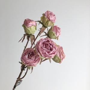 ASCA アスカ ドライタッチローズ×6 (A-34406-055A)【入数:12】