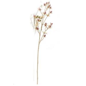 ASCA アスカ エリンジウムX18 (A-34414-055)【入数:12】