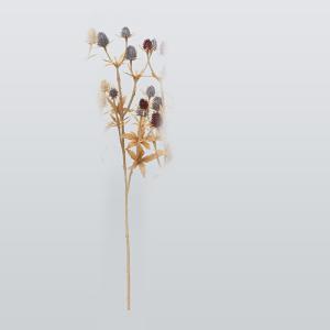 ASCA アスカ エリンジウムX8 (A-34415-009)【入数:12】