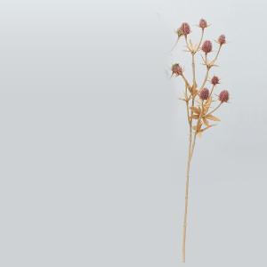 ASCA アスカ エリンジウムX8 (A-34415-055)【入数:12】