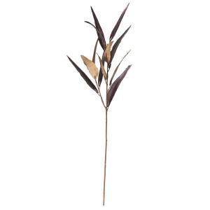 ASCA アスカ ユーカリ (A-74613-007D)【入数:12】