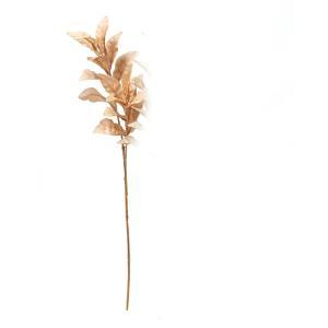 ASCA アスカ ラムズイヤー (A-44017-003H)【入数:12】