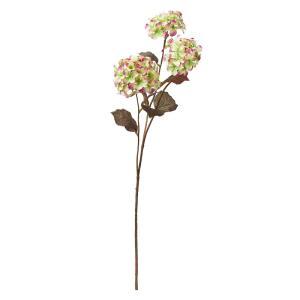 &nbsp;メーカー&nbsp;ASCA アスカ&nbsp;商品カテゴリ&nbsp;フラワー・観葉植物＞造花&nbsp;発送目安&nbsp;2日〜3日以内に発送予定（土日祝除）&nbsp;お支払方法&nbsp;銀行振込・クレジットカード&nbsp;送料&nbsp;送料無料&nbsp;特記事項&nbsp;&nbsp;その他&nbsp;