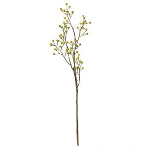 ASCA アスカ ベリースプレー (A-47971-010G)【入数:12】