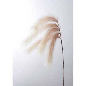 ASCA アスカ ファーンスプレー (A-44066-055C)【入数:12】