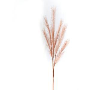 ASCA アスカ ファーンスプレー (A-44039-030S)【入数:24】