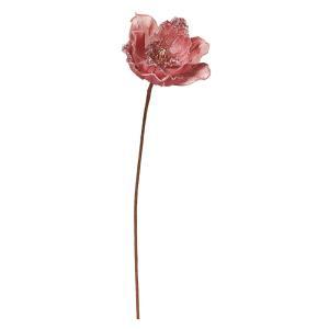 ASCA アスカ マグノリア (AX60135-055)【入数:12】