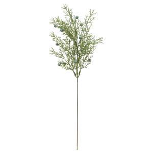 ASCA アスカ シーダーピック (AX60197-000)【入数:24】