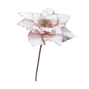 ASCA アスカ ポインセチア (AX60293-013)【入数:12】