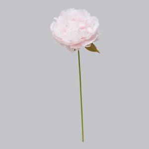 ASCA アスカ ピオニーピック (A-73398-001P)【入数:24】