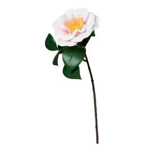 ASCA アスカ 椿 (A-73400-001P)【入数:12】