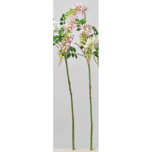 ASCA アスカ ウィステリア(ナツフジ)×4 (A-34491-003)【入数:24】