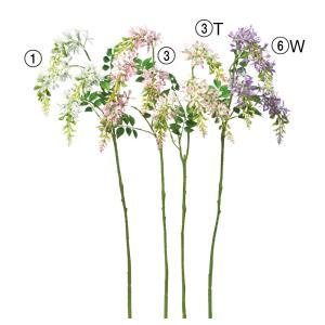 ASCA アスカ ウィステリア(ナツフジ)×4 (A-34491-006W)【入数:24】