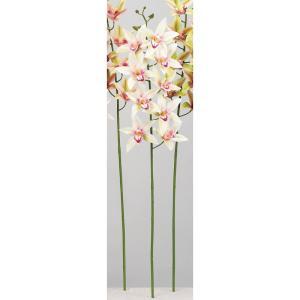 ASCA アスカ シンビジュームX9 つぼみX4 (A-34544-020K)【入数:12】